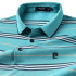 Pierre Cardin Men’s Green Striped Polo Shirt P61113013J56